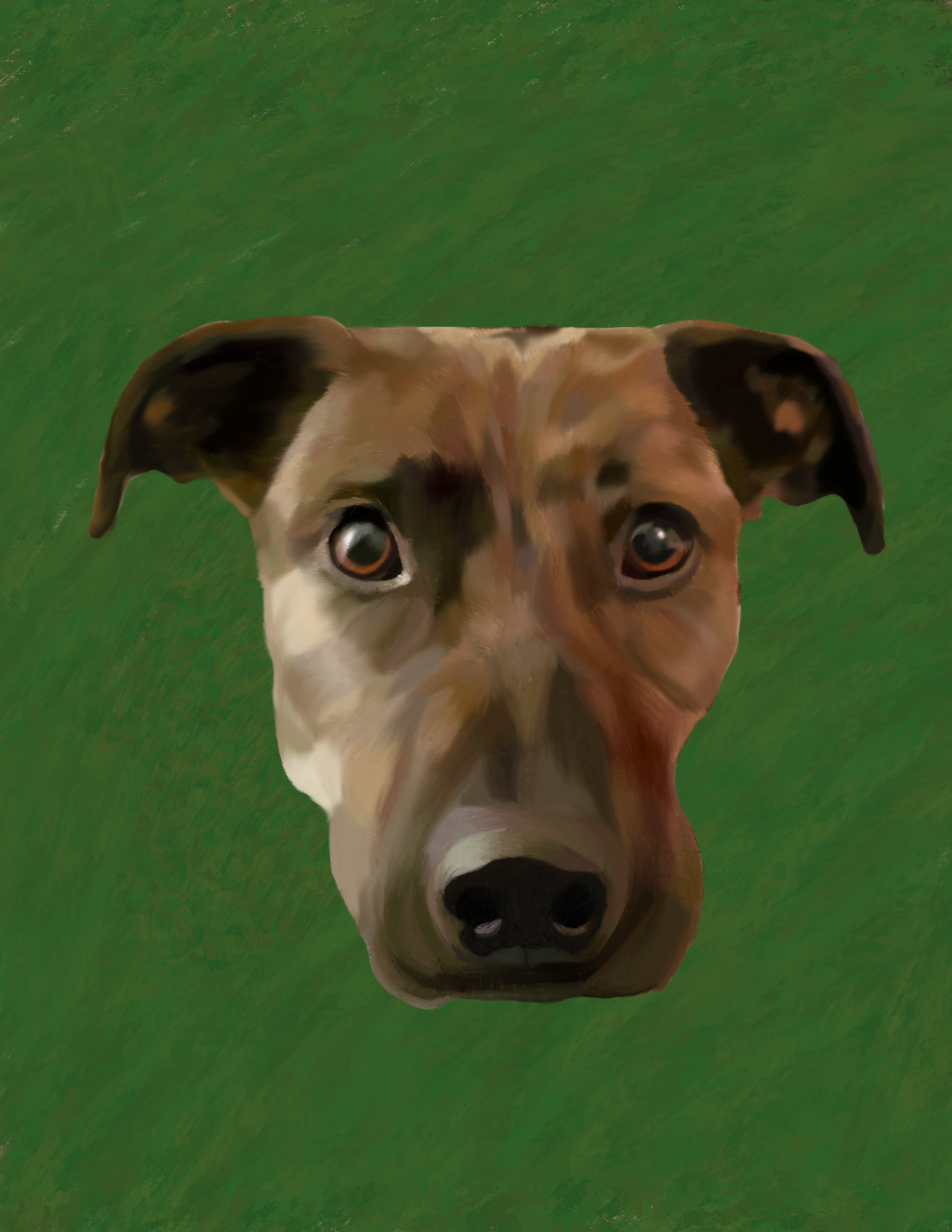 Pet Portrait Illustration